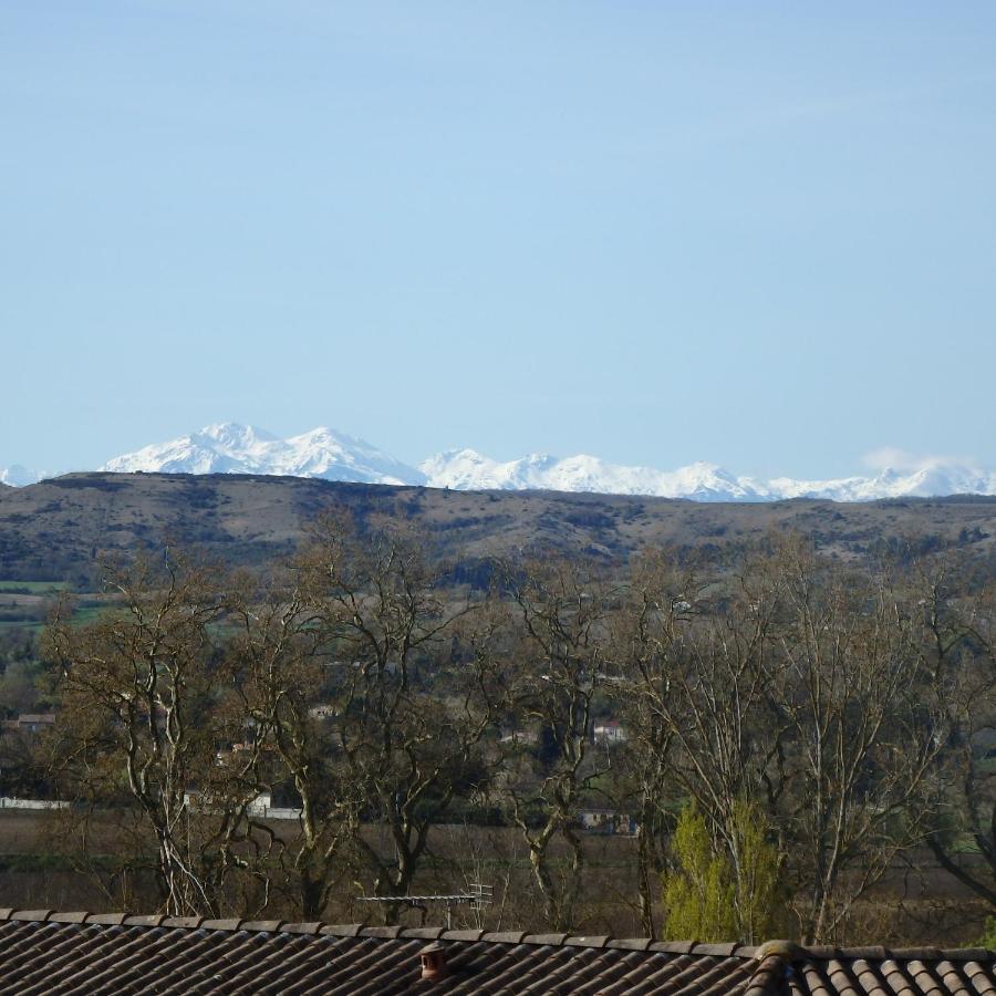 L'Oustal Des Fontanilles Bed & Breakfast Castelnaudary Exterior photo